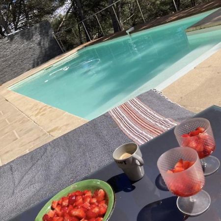 Villa Piscine 6Km De Cassis 12 Couchages 罗科福尔拉贝杜勒 外观 照片